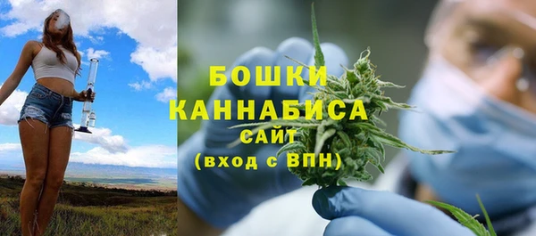 сатива Кинешма