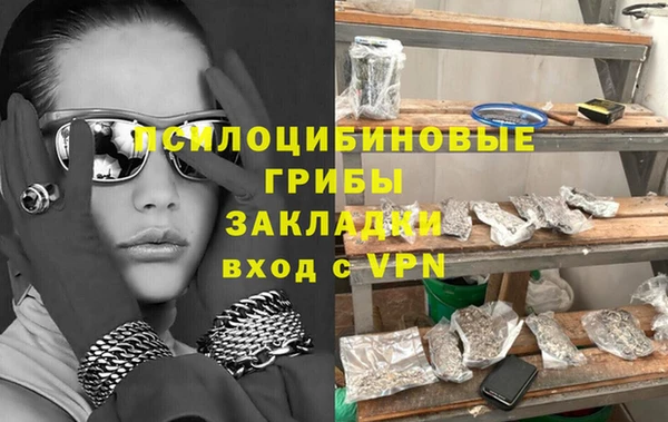 2c-b Козельск