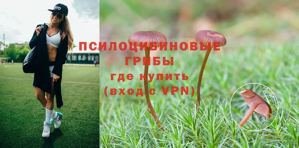 соль ск Кодинск