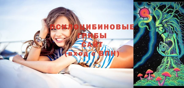 гидропоника Козловка