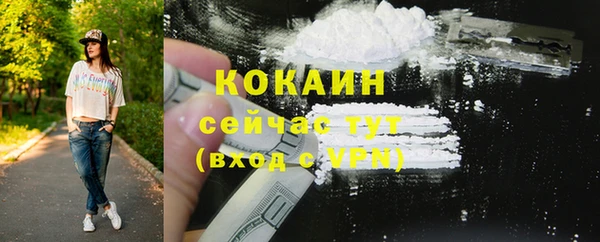 2c-b Козельск