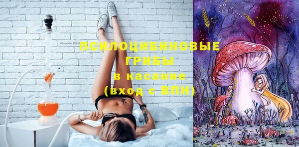 гидропоника Козловка