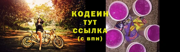2c-b Козельск